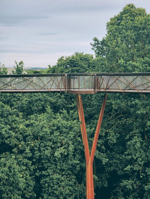 A high-level view of an elevated pedestrian footbridge made of metal and glass, supported by a single rust-colored V-shaped steel pillar, spanning over a dense green forest with tall trees and lush foliage. The bridge has a weathered, translucent walking surface with metal railings on either side. Overhead, the sky appears cloudy with patches of blue, creating natural lighting that highlights the structure's details. This outdoor scene suggests a location where careful transportation of furniture and packaging materials might occur during home relocation or moving services, such as those provided by Man With a Van Kew, which specialises in house removals and furniture transport within Kew and surrounding areas.