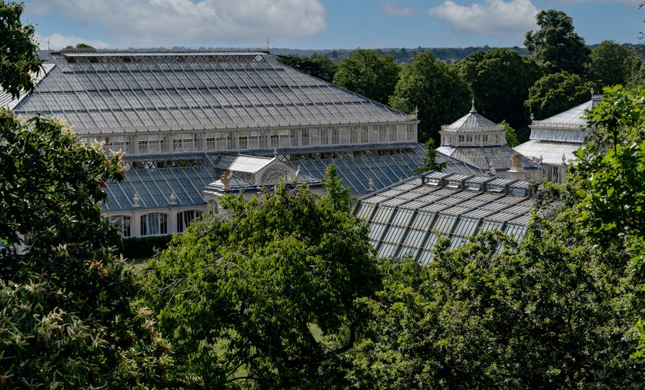 A scenic view of the Palm House at Kew Gardens, taken from a higher vantage point above surrounding green trees. The historic glasshouse features a large, curved metal framework supporting numerous glass panels, with smaller ornate glass structures attached to its sides. The scene is illuminated by natural daylight, with clear skies and some distant treetops visible on the horizon. The area appears quiet and suitable for house removals or furniture transport, with the glasshouse representing a prominent feature of the conservation and botanical estate, consistent with the services offered by Man With a Van Kew for home relocation and packing and moving processes within the Kew Gardens area.