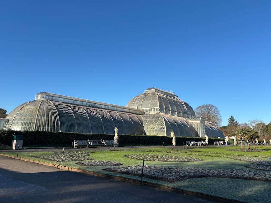 A scenic view of the Palm House at Kew Gardens, taken from a higher vantage point above surrounding green trees. The historic glasshouse features a large, curved metal framework supporting numerous glass panels, with smaller ornate glass structures attached to its sides. The scene is illuminated by natural daylight, with clear skies and some distant treetops visible on the horizon. The area appears quiet and suitable for house removals or furniture transport, with the glasshouse representing a prominent feature of the conservation and botanical estate, consistent with the services offered by Man With a Van Kew for home relocation and packing and moving processes within the Kew Gardens area.