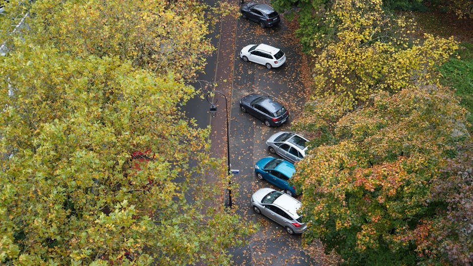 An aerial view of a small parking area surrounded by trees with yellow and green foliage, featuring five parked cars including a white, black, blue, silver, and dark grey vehicle, some of which are po