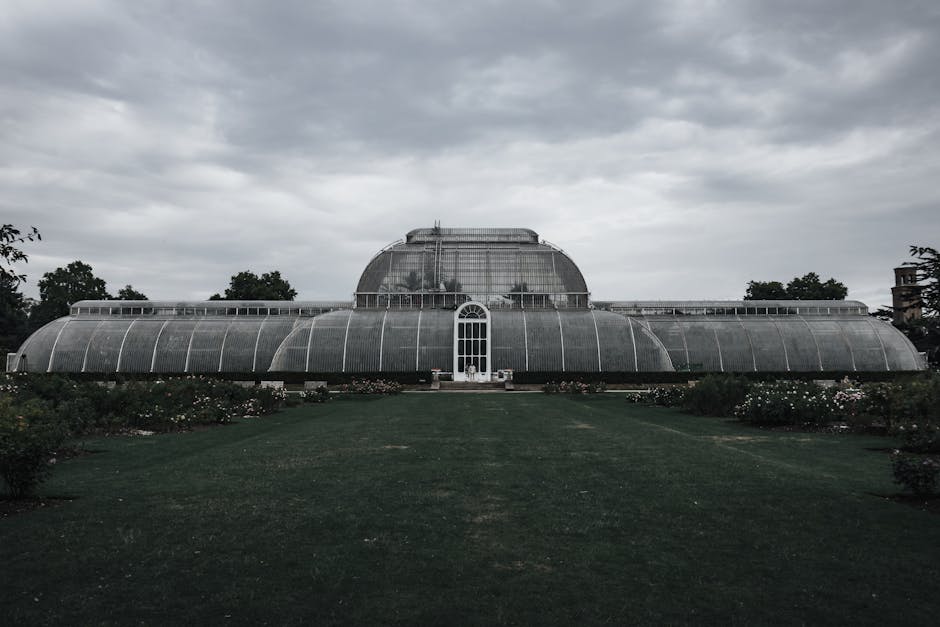 A large glass greenhouse structure with a domed central section and curved side wings, situated outdoors on a grassy area with flower beds surrounding the base. The greenhouse has a white-framed arched entrance door directly in the center, with several smaller windows along its length. The sky overhead is cloudy and overcast, casting diffuse lighting over the scene. In the background, trees are visible, and the building appears to be part of a botanical garden or conservatory. This image depicts a location that could be relevant to house removals or relocation services, emphasizing the importance of careful transportation of fragile or valuable items, and aligns with services like those offered by Man With a Van Kew for efficient and secure furniture transport or packing and moving tasks within or to such properties.